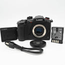 Mirrorless Interchangeable Lips Gh5S Dc-Gh5S-K