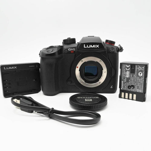 Mirrorless Interchangeable Lips Gh5S Dc-Gh5S-K
