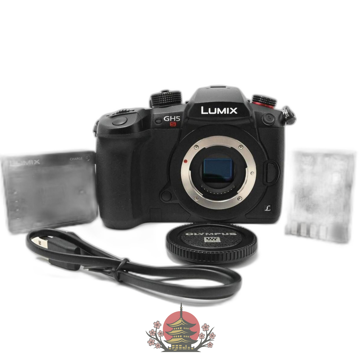 Mirrorless Interchangeable Lips Gh5S Dc-Gh5S-K