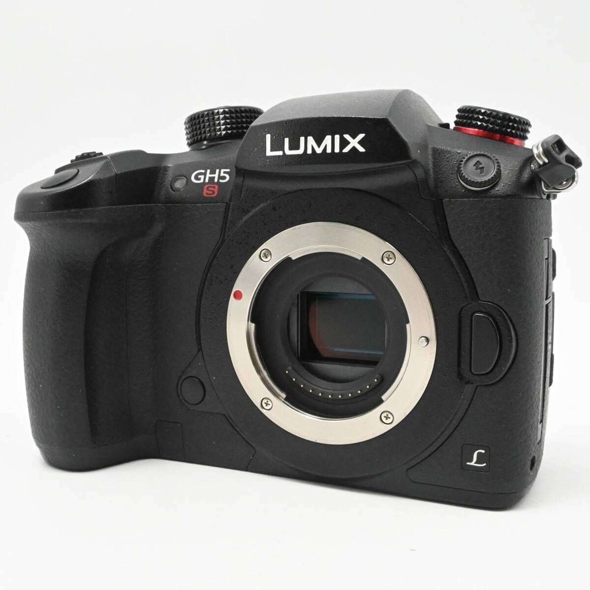 Mirrorless Interchangeable Lips Gh5S Dc-Gh5S-K