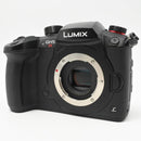 Mirrorless Interchangeable Lips Gh5S Dc-Gh5S-K