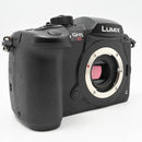 Mirrorless Interchangeable Lips Gh5S Dc-Gh5S-K