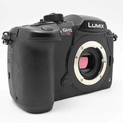 Mirrorless Interchangeable Lips Gh5S Dc-Gh5S-K