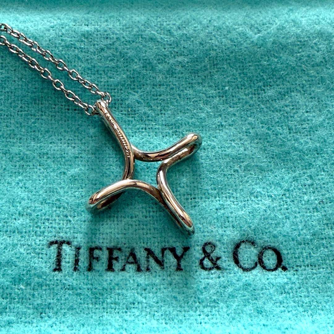 Tiffany Necklaces Sv925