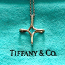 Tiffany Necklaces Sv925
