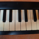 Korg Others Microkcy Usb Powered Keyboard Mc26202