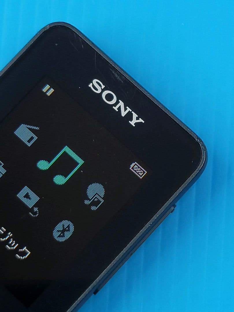 Sony Digital Audio Players Bluetooth Walkman Nw-S313 [4Gb]