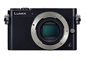 Digital Slr Gm5 Dmc-Gm5-K D2Ldlup