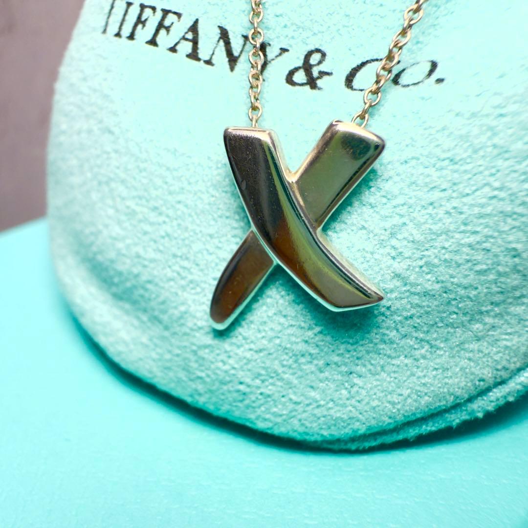 Tiffany Necklace Silver925
