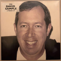Japanese Music Psg David Sample 12Inch 5Lack Punpee