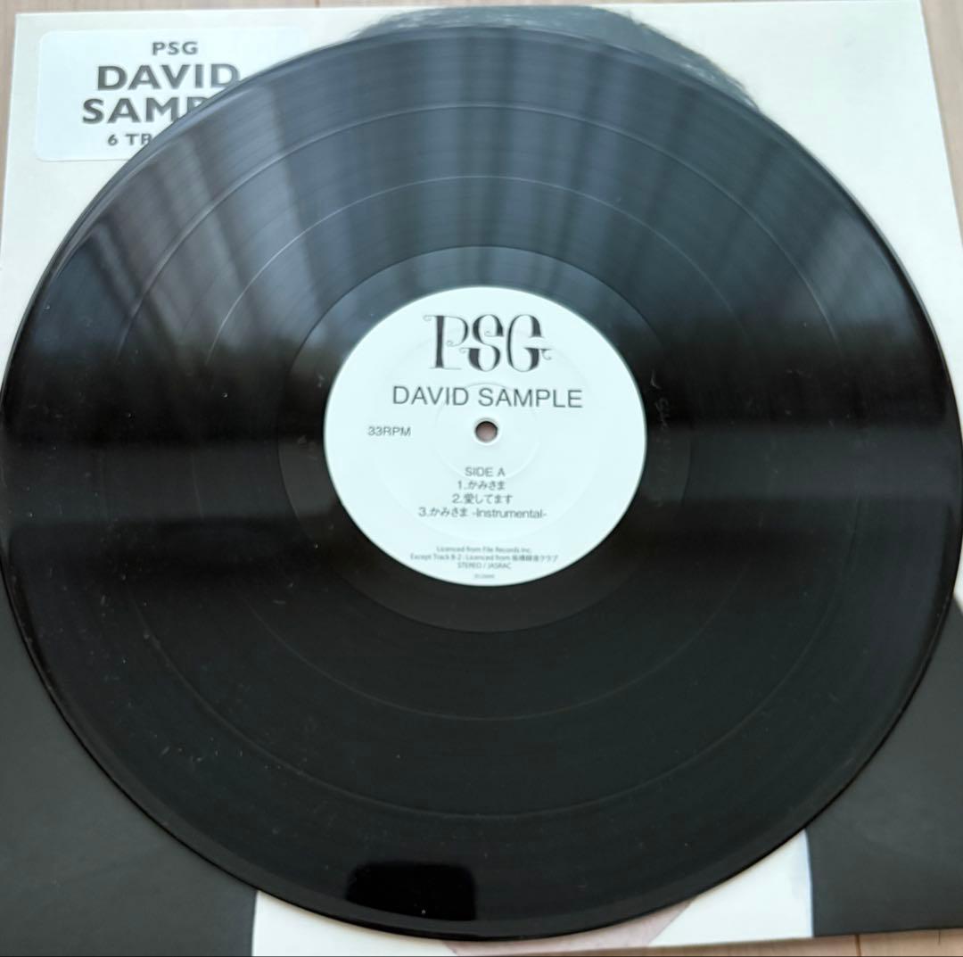 Japanese Music Psg David Sample 12Inch 5Lack Punpee