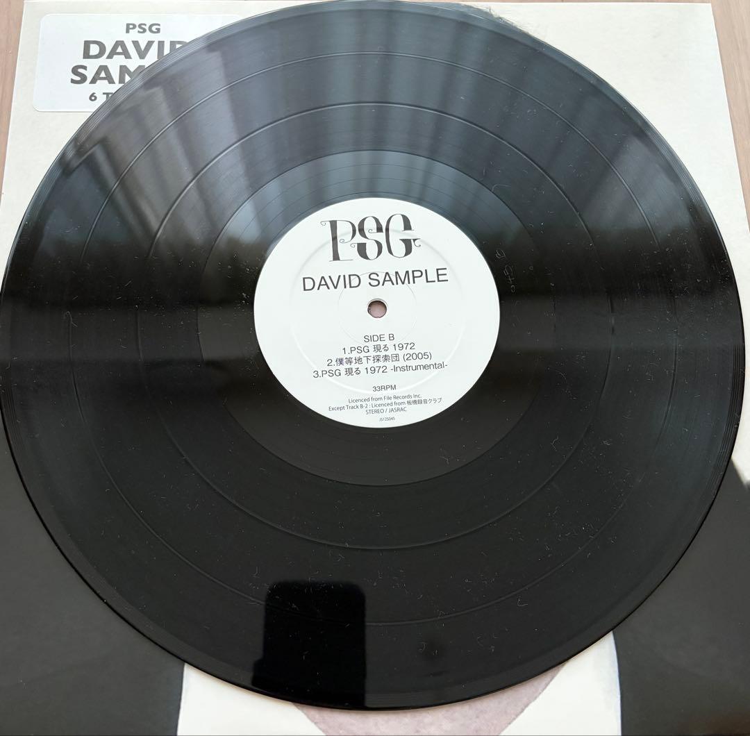 Japanese Music Psg David Sample 12Inch 5Lack Punpee