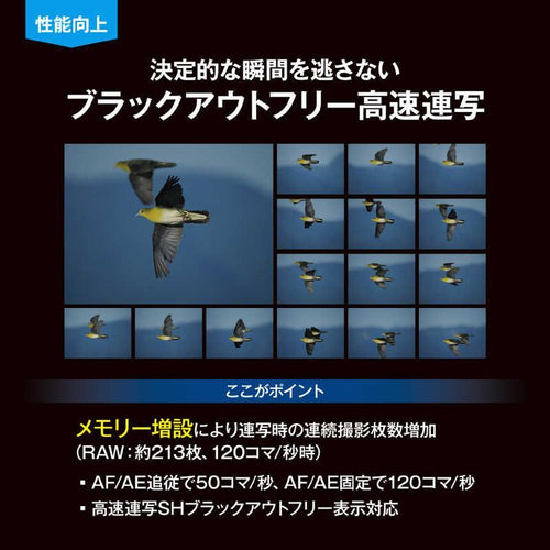 Om System Mirrorless Interchangeable Lips Omsystem Om-1 Mark Ii 12-40Mm F2.8 Pro
