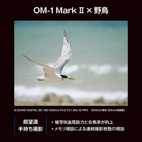 Om System Mirrorless Interchangeable Lips Omsystem Om-1 Mark Ii 12-40Mm F2.8 Pro