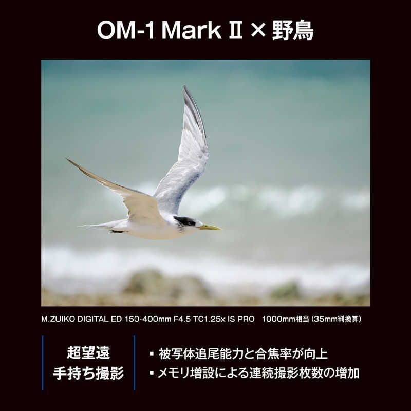 Om System Mirrorless Interchangeable Lips Omsystem Om-1 Mark Ii 12-40Mm F2.8 Pro