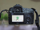 Sony Digital Slr 200