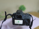 Sony Digital Slr 200
