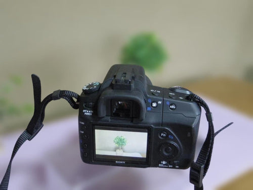 Sony Digital Slr 200