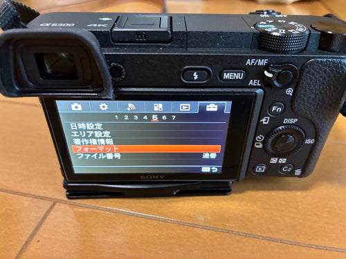 Sony Mirrorless Interchangeable Lens Cameras 6300