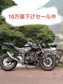 Motorcycle Body Mt25 250Cc 10