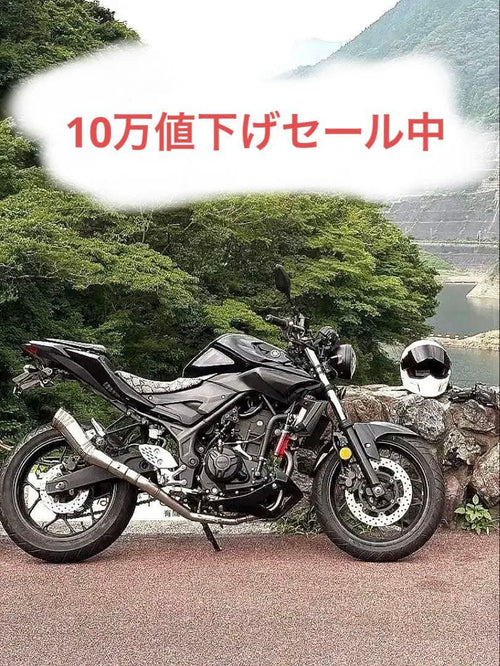 Motorcycle Body Mt25 250Cc 10