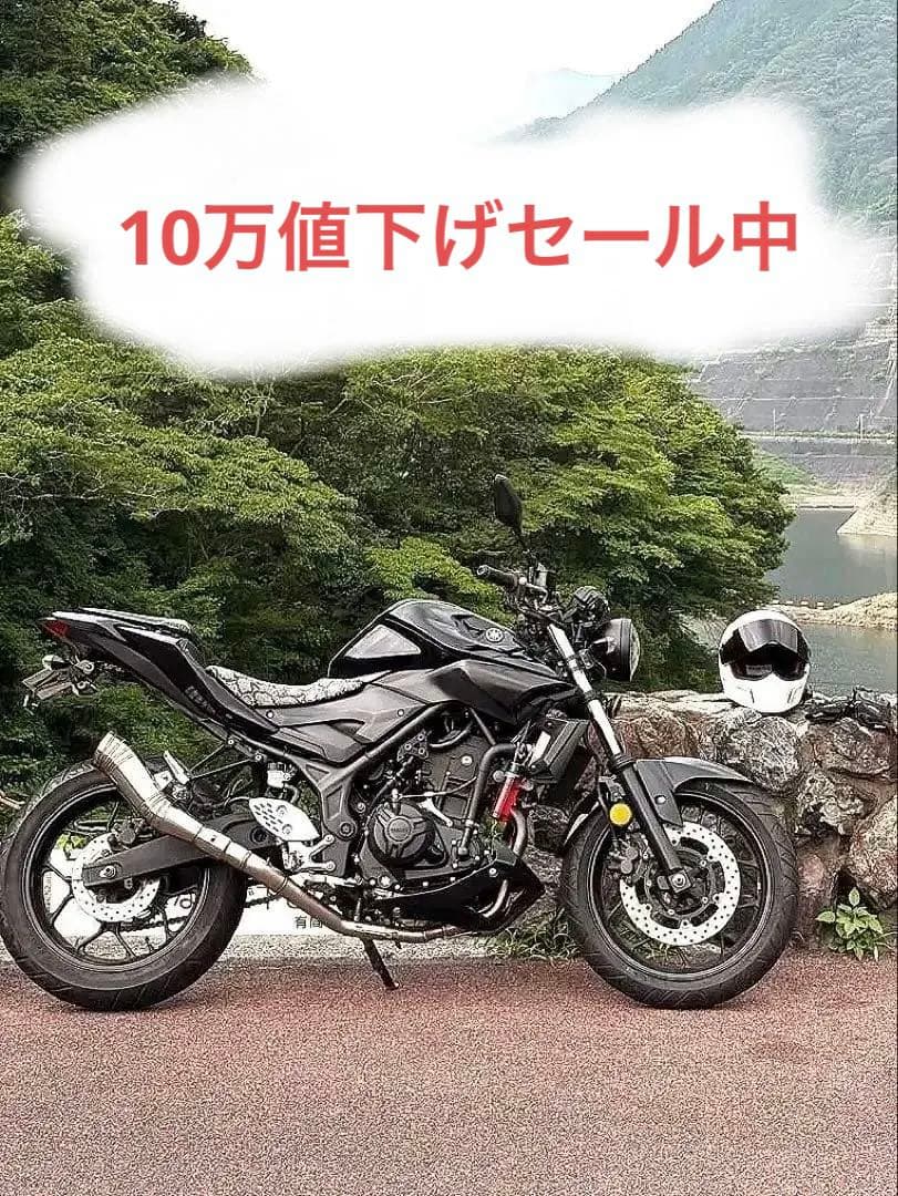 Motorcycle Body Mt25 250Cc 10