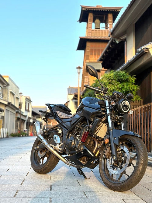 Motorcycle Body Mt25 250Cc 10