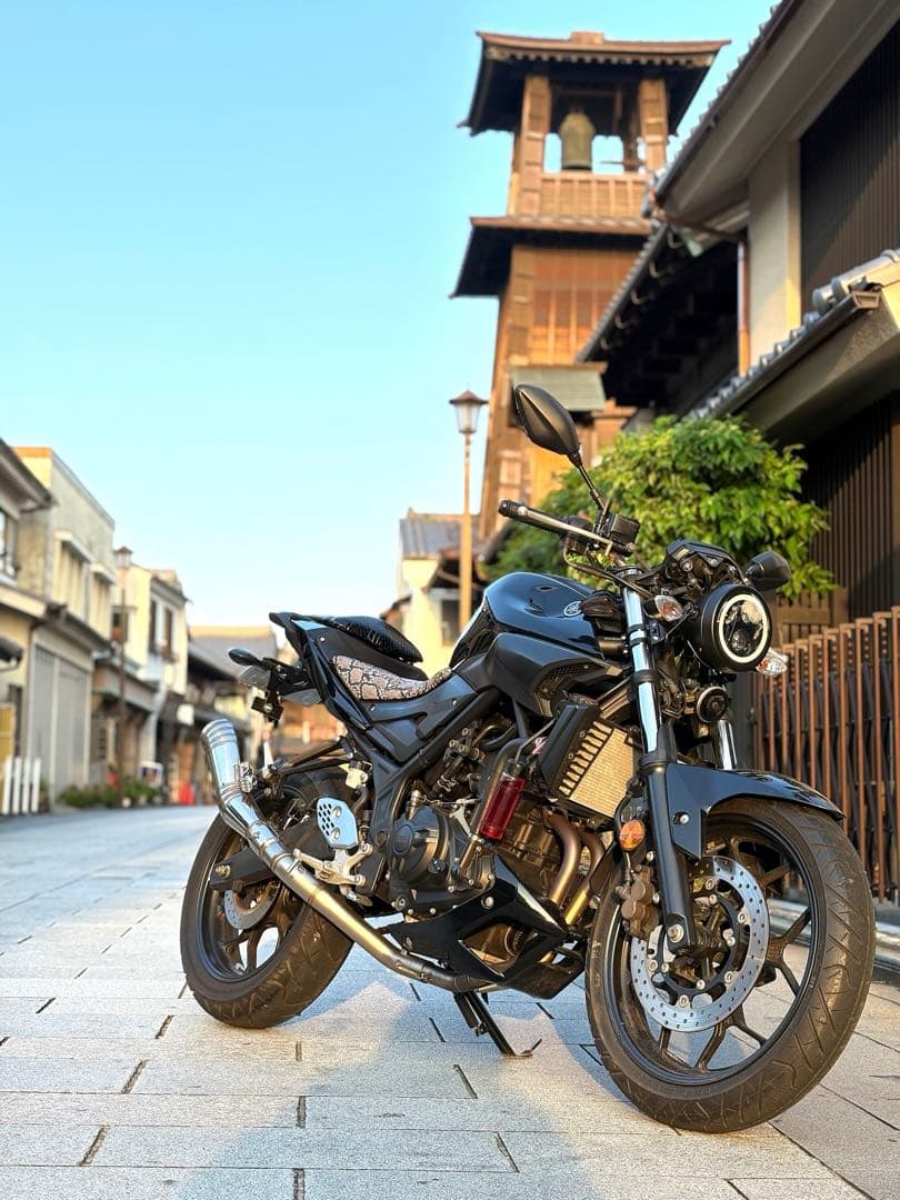 Motorcycle Body Mt25 250Cc 10