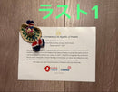 Pins, Pin Badges, Can 2025 Day