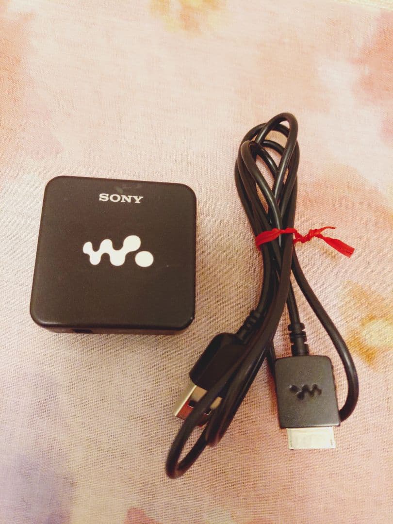 Sony Digital Audio Player Nw-E083
