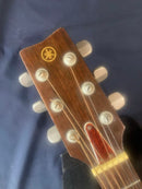 Yamaha Acoustic Guitars Fg-200