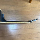 Yamaha Acoustic Guitar Fg-441Bl