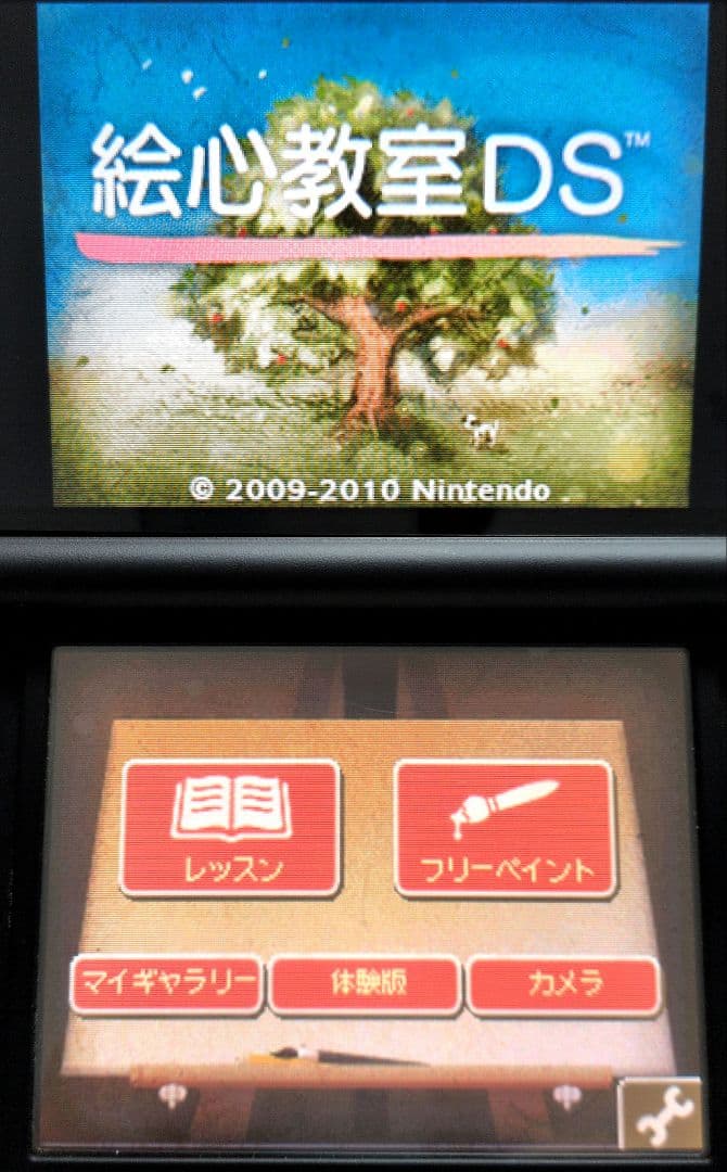 Nintendo 3Ds Games (Physical) Ds 2
