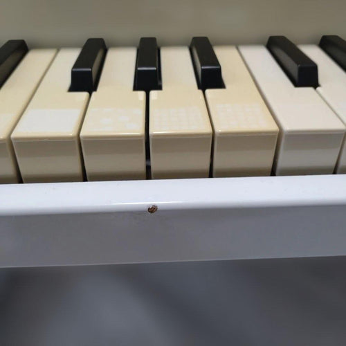 Korg Keyboards Digital Pianos Tinypiano