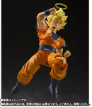 S.H.Figuarts Dragon Ball 2 Z