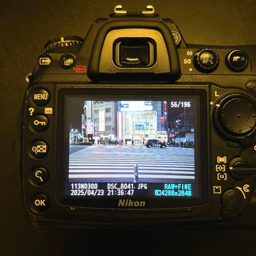 Nikon Slr Cameras (Film) D300