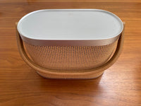 Bang Olufsen Wireless Speakers Beosound A5