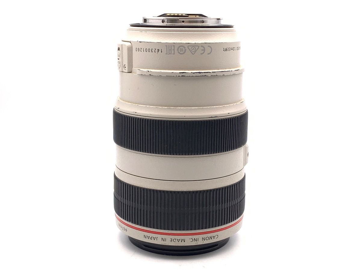 Lens (Zoom) Ef70-300Mm F4-5.6L Is Usm