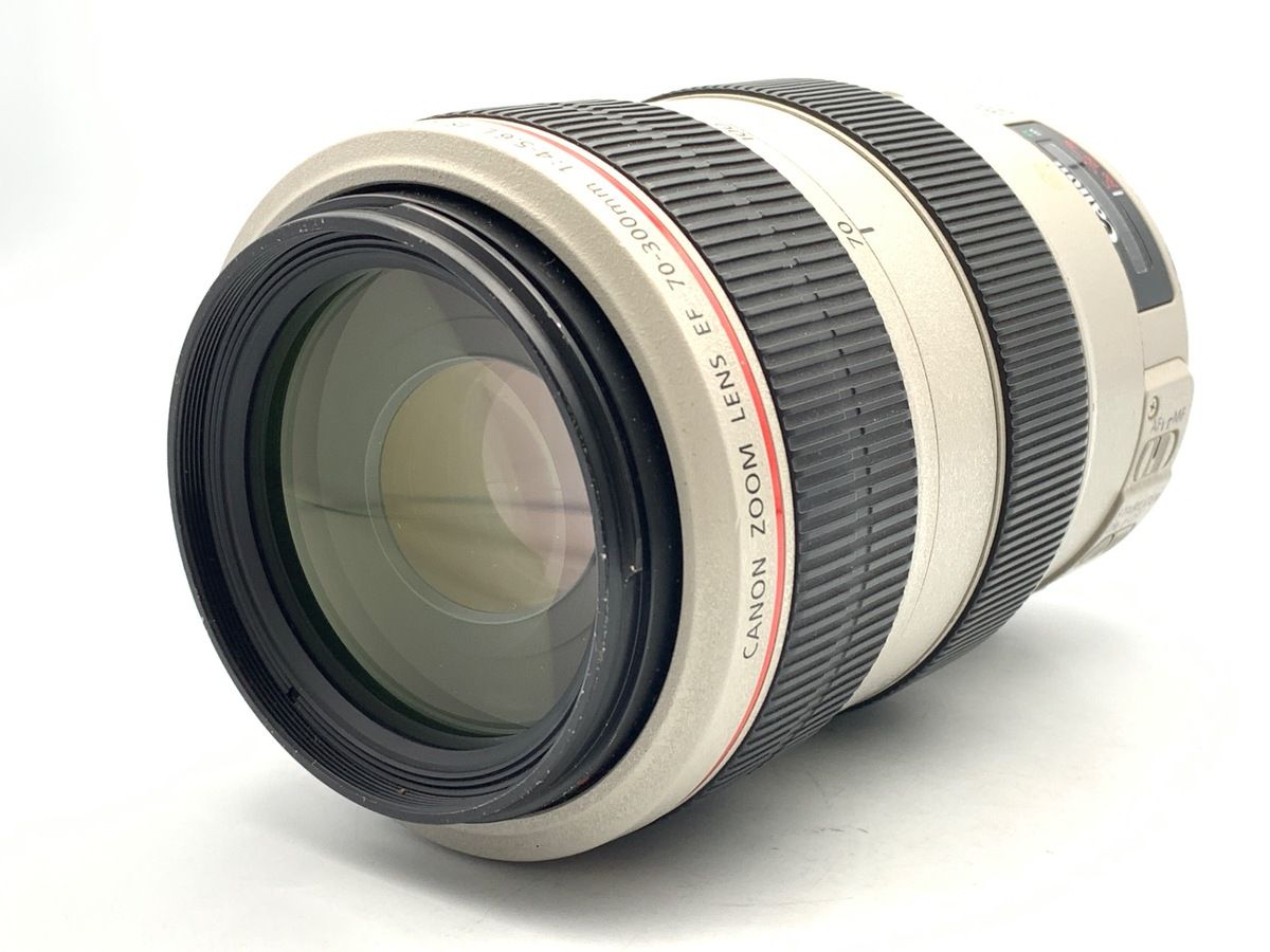 Lens (Zoom) Ef70-300Mm F4-5.6L Is Usm