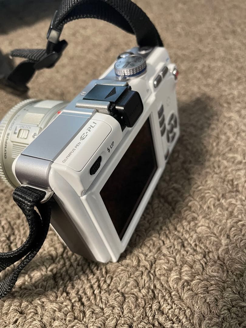 Digital Slr Olympus E-Pl1