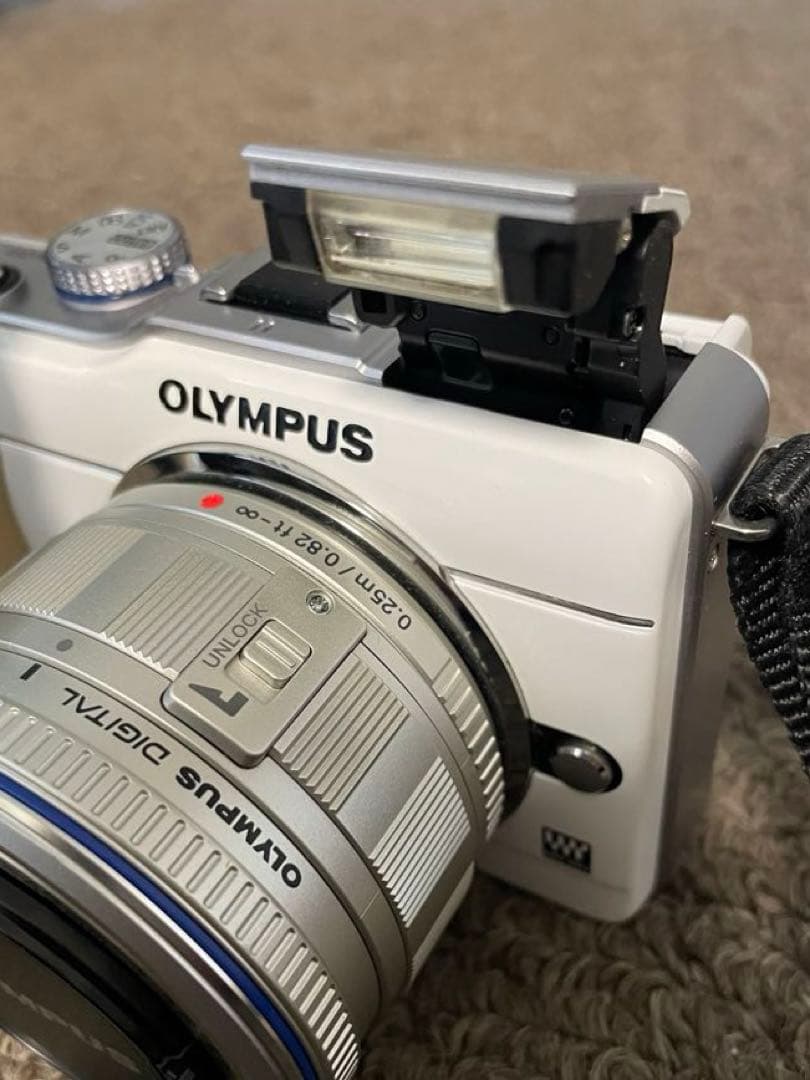 Digital Slr Olympus E-Pl1
