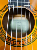Yamaha Classical Guitars Cs40