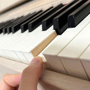 Roland Keyboards Digital Pianos Kf-10-Ks