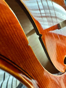 Yamaha Violins Braviol V10G 4/4 Anno2024