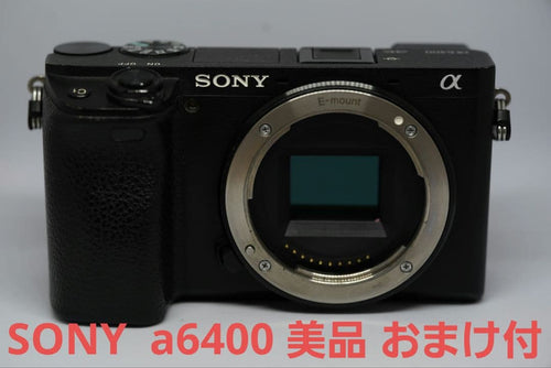 Sony Mirrorless Interchangeable Lips 6400