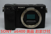 Sony Mirrorless Interchangeable Lips 6400