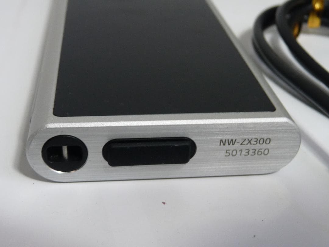 Sony Digital Audio Players Walkman Nw-Zx300 64Gb