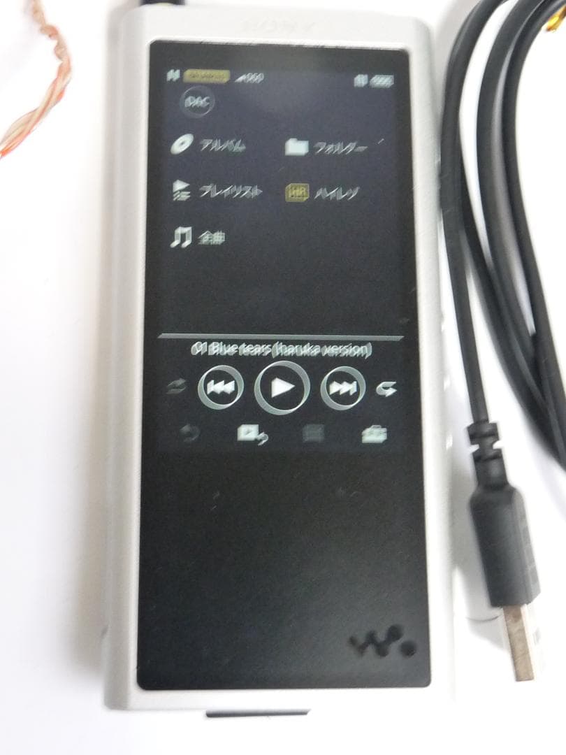 Sony Digital Audio Players Walkman Nw-Zx300 64Gb