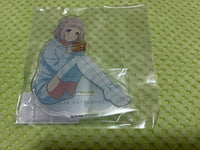 Acrylic Stands
