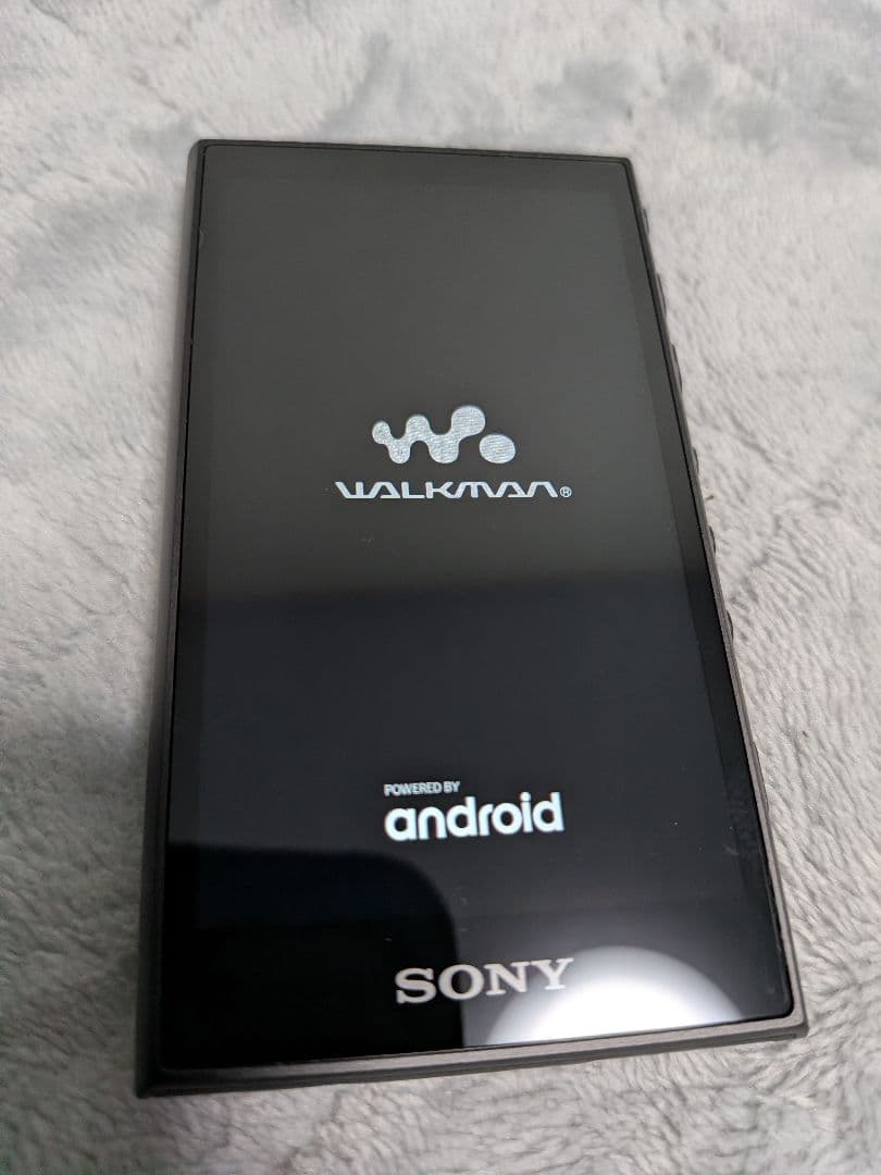 Sony Digital Audio Players Walkman Nw-A106 32Gb